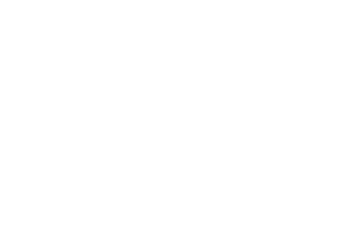 Pelasta liiketoimintasi kanssamme